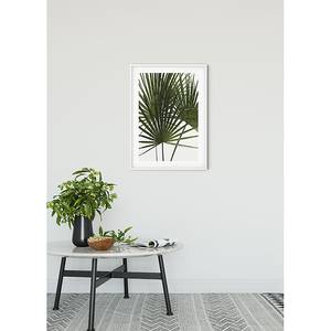 Wandbild Palmtree Leaves Papier - Grün / Weiß