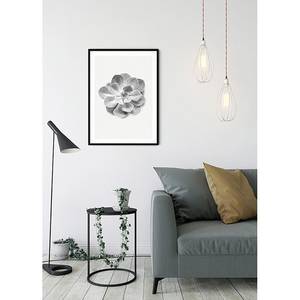 Wandbild Succulent Aeonium Papier - Schwarz  / Weiß