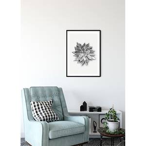 Poster Succulent Agave Carta - Nero  / Bianco