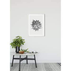 Poster Succulent Agave Carta - Nero  / Bianco