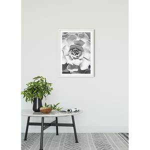 Wandbild Succulent Closeup Papier - Schwarz  / Weiß