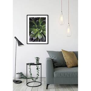 Afbeelding Succulent Single papier - groen/paars