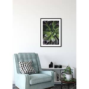 Poster Succulent Single Carta - Verde / Lilla