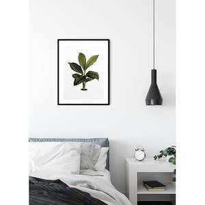 Wandbild Elastica Leaf Papier - Mehrfarbig