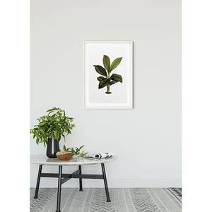 Wandbild Elastica home24 kaufen Leaf 