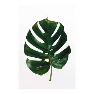 Afbeelding Monstera Leaf papier - groen/wit