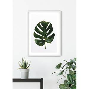 Afbeelding Monstera Leaf papier - groen/wit