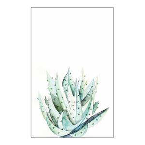 Wandbild Aloe Watercolor Papier - Mehrfarbig