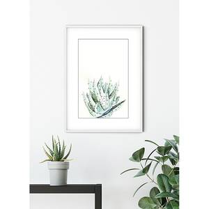 Wandbild Aloe Watercolor Papier - Mehrfarbig