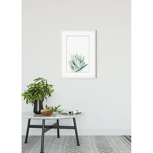 Wandbild Aloe Watercolor Papier - Mehrfarbig