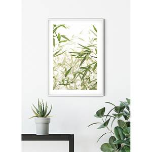 Afbeelding Bamboo Leaves papier - wit/groen