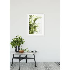 Poster Reed Leaves Carta - Verde / Bianco