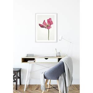 Tableau déco Tulip Papier - Rose / Vert