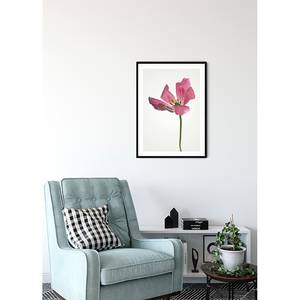 Poster Tulip Carta - Rosa / Verde