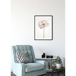 Poster Poppy Carta - Bianco / Rosa