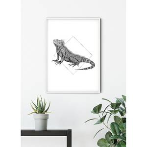 Afbeelding Iguana White papier - zwart/wit