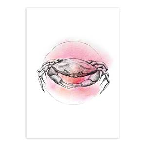 Wandbild Crab Papier - Durchscheinend