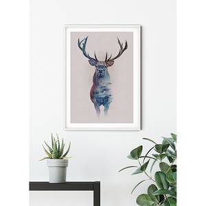 Tableau déco Animals Forest Deer Papier - Multicolore