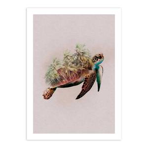Tableau déco Animals Paradise Turtle Papier - Multicolore
