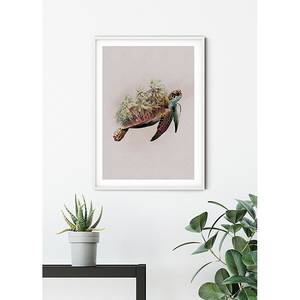 Afbeelding Animals Paradise Turtle papier - meerdere kleuren