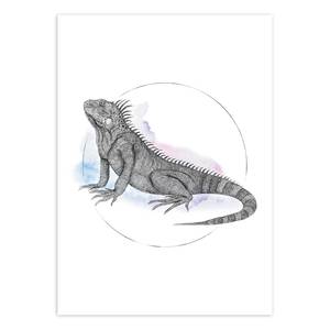 Wandbild Iguana Watercolor Papier - Mehrfarbig