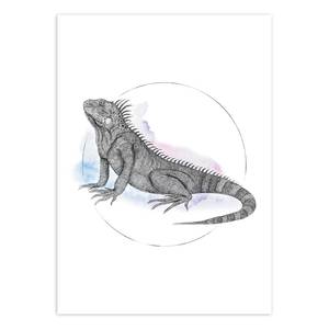 Poster Iguana Watercolor Carta - Multicolore