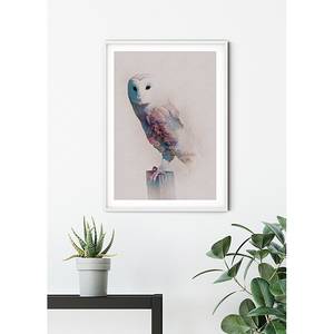 Poster Animals Forest Owl Carta - Multicolore