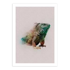 Wandbild Animals Paradise Iguana Papier - Mehrfarbig