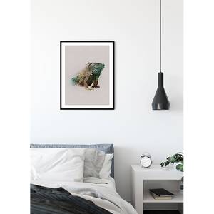 Wandbild Animals | home24 Paradise Iguana kaufen