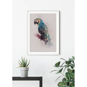 Tableau déco Animals Paradise Parrot Papier - Multicolore
