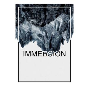 Tableau déco Immersion Papier - Acier inoxydable