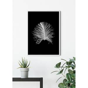 Wandbild Feather Papier - Schwarz