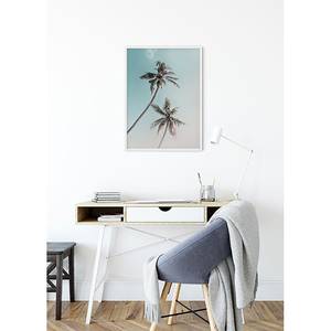 Wandbild Miami Palms Papier - Braun / Blau