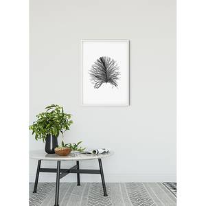 Poster Feather Carta - Bianco