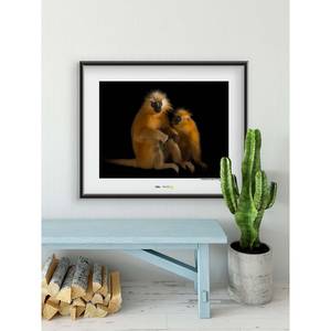 Poster Gee‘s Golden Langur Carta - Marrone / Nero