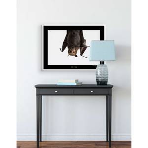 Afbeelding Spectacled Flying Fox papier - bruin/zwart