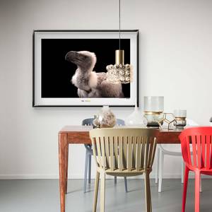 Wandbild African White-backed Vulture Papier - Braun / Schwarz