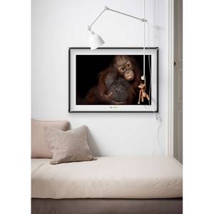 Wandbild Bornean Orangutan Papier - Braun / Schwarz