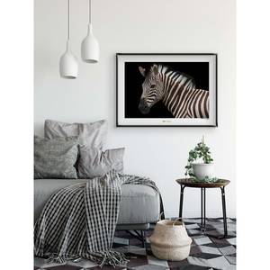 Tableau déco Damara Zebra Papier - Noir / Blanc