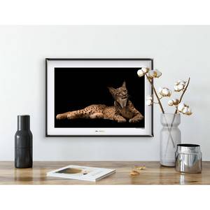 Wandbild Iberian Lynx Papier - Braun / Schwarz