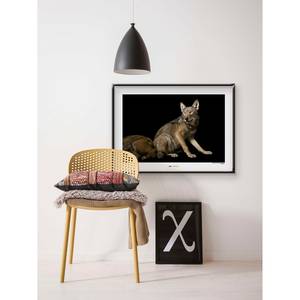 Afbeelding Red Wolf papier - bruin/zwart