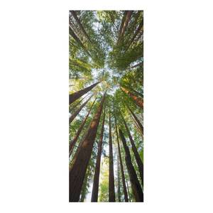 Tableau en verre Forêt Vert - 50 x 125 x 0,4 cm - 50 x 125 cm