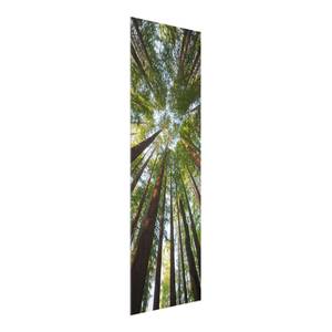 Glazen afbeelding Boomtoppen groen - 50 x 125 x 0,4 cm - 50 x 125 cm