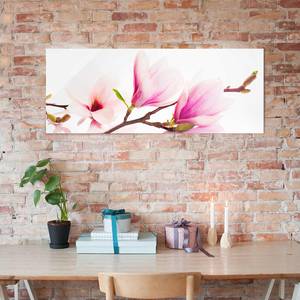 Glazen afbeelding Tere Magnoliatak roze - 80 x 30 x 0,4 cm - 80 x 30 cm