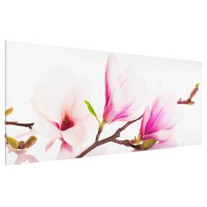 Glasbild Zarter Magnolienzweig Pink - 80 x 30 x 0,4 cm - 80 x 30 cm