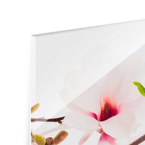 Glasbild Zarter Magnolienzweig Pink - 80 x 30 x 0,4 cm - 80 x 30 cm