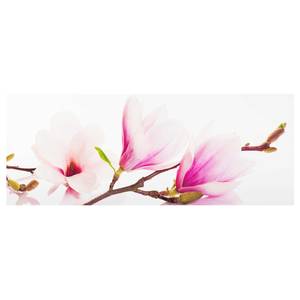 Tableau en verre Magnolia Rose - 125 x 50 x 0,4 cm - 125 x 50 cm