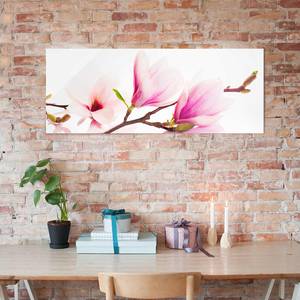 Glasbild Zarter Magnolienzweig Pink - 125 x 50 x 0,4 cm - 125 x 50 cm