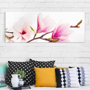 Glazen afbeelding Tere Magnoliatak roze - 125 x 50 x 0,4 cm - 125 x 50 cm