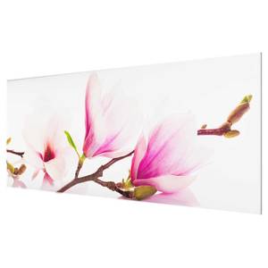 Glazen afbeelding Tere Magnoliatak roze - 125 x 50 x 0,4 cm - 125 x 50 cm